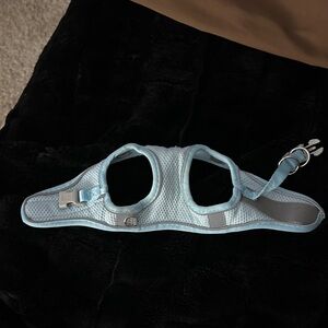 Source Unknown Light Blue Dog Harness